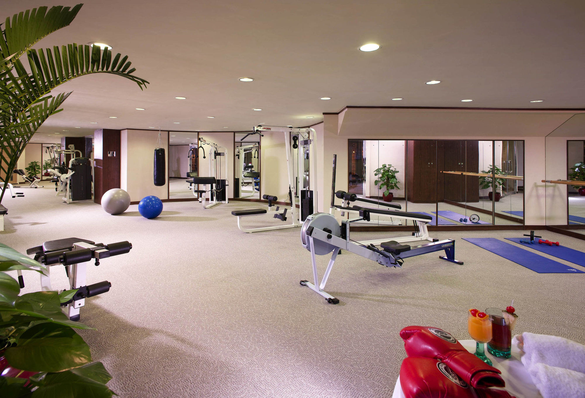 Harbour Plaza Metropolis Hotell Hongkong Exteriör bild